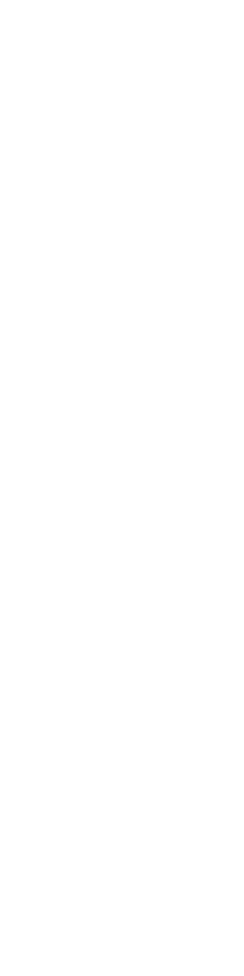 10062025 designstreifen gespiegelt